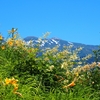 白山高山植物園オープンガーデン「その３」
