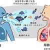 空気感染とは？