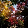 平林寺　その3