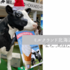 【東京・自由が丘】北海道を東京をつなぐ「MILK LAND HOKKAIDO→TOKYO」にいきました