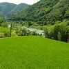 台風が来た！四万十川が荒れている！