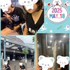 【小2と小5】科学館とバスケ観戦