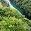 「新緑と安房川」 with a PENTAX K-3 MarkⅢ/屋久島風景写真