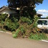 ガツガツいってます。