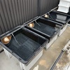 三種の神器で抜かりなく！今シーズンのメダ活はプラ舟ゾーンの水換えからスタートです🪣✨
