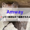 アムウェイってやばい？怪しい勧誘をされたけど違法なの？大学生がハマりやすいマルチ商法の実態とは。
