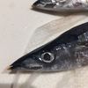 旬の秋刀魚を通販♪（だってお魚釣れなかったんンだもん）