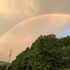 雨上がりに