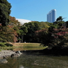 紅葉が彩る庭園『続・小石川後楽園～深山紅葉を楽しむ～』