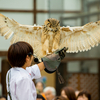 掛川花鳥園に行ってきた