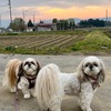 それじゃまた来るね