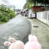 意外と見どころあり？！チェンマイの自宅コンドからおばあちゃんのお店までの一本道の様子はこんな感じ～