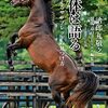 競馬用語の「柔らかさ」が分からない。それでも「ある」としか言えない。競馬用語の定量化不可能性。