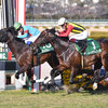 競馬初心者必見☆馬券予想🔥〜阪急杯〜グレナディアガーズは堅そうだが‥‥