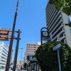 日本一連発の静岡市🤔今年は静岡がアツイ