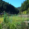 好きだなぁ、田舎の風景