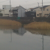 染川とは財田川の下流