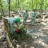 里山の環境整備