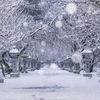 雪の参道