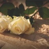 ユーコンノミニーに申請する為の婚姻証明