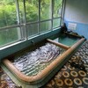 湯沢温泉　長生館　インパクトがすごい！密林の中のレトロ旅館で日帰り入浴
