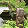 柏倉の池（仮称）（群馬県前橋）