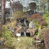 東京都薬用植物園（東京都小平市）