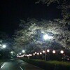 下北山スポーツ公園（桜）