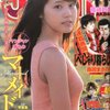 ヤングジャンプ No.49 有村架純 2013年