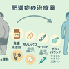 肥満症治療薬最前線：ゼップバウンド登場でどう変わる？