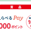 【１０/５＊１０/８】ロゴスのテントを買って えらべるPay１万ポイント当たるキャンペーン【レシ /  LINE 】