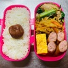 女子高生弁当#108