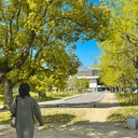 みる日記