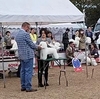 ドッグショー記録🏆3月2日(日)