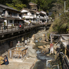 日本最古の温泉といわれる熊野本宮 湯の峰温泉に行ってきた。