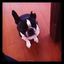 プライスアクショントレードブログ