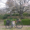 桜が散る前にダンバラ公園でお花見へ・・・。
