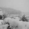 八王子、今日の積雪２３ｃｍ