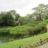 雨の兼六園