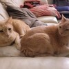 とりあえず頑張った。