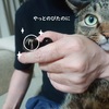 爪を切っているときの猫の表情