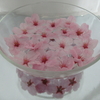 さくら　さくら🌸