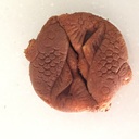 はせがわめも