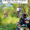 アミーガのGW報告～甘夏収穫と森林に関する体験型学習