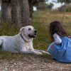 【犬の正しい撫で方は？】犬種や場面別の撫で方や注意点を詳しく解説