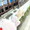 大麻にガードルΣ(･ω･ﾉ)ﾉ！チェンマイMAYAからすぐのローカルエリアはおもしろいよ～
