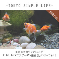 アクアリウムセット 最初に買ったもの追加で買ったもの Tokyo Simple Life アクアリウムセット 最初に買ったもの追加で買ったもの Tokyo Simple Life