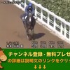 競馬無双で競馬予想！東海ステークス（GII） 【競馬調教】 メイショウウタゲ調教動画　「競馬レース結果ハイライト」2017年≪競馬場の達人,競馬予想≫JRA-VAN対応競馬ソフト