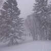 履歴稿　北海道似湾編 　吹雪　10の8