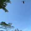 何する？